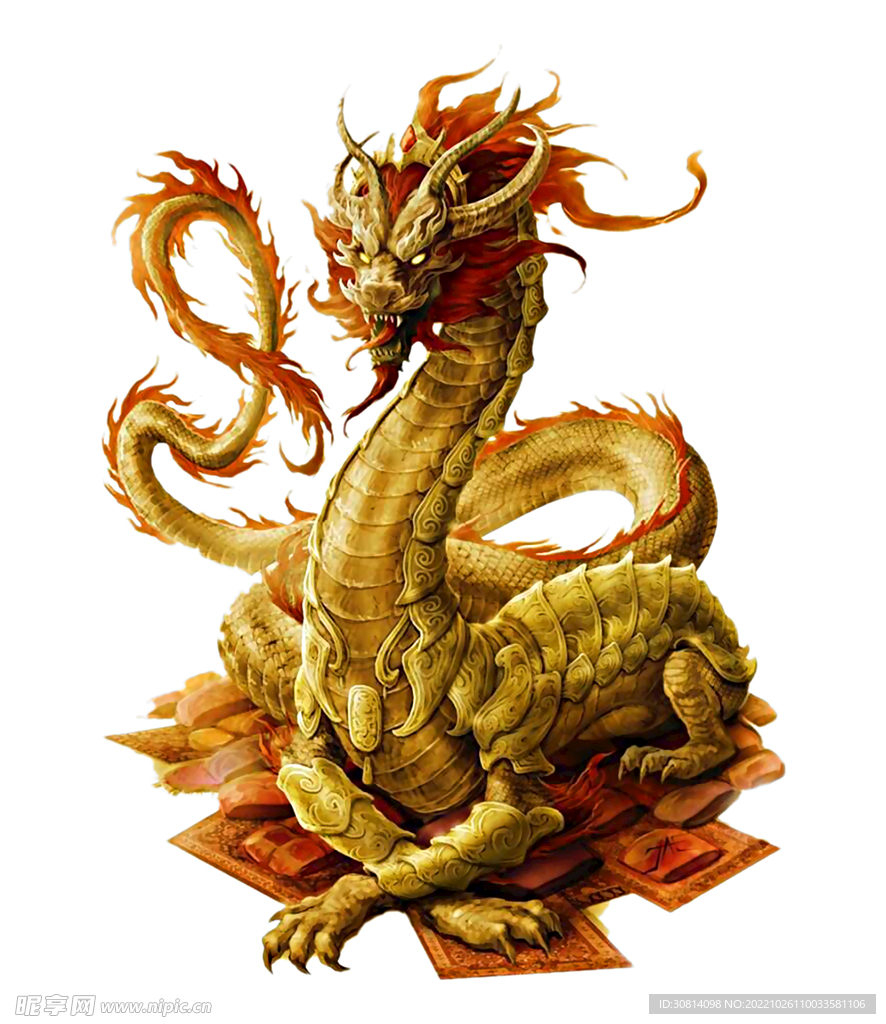 龙