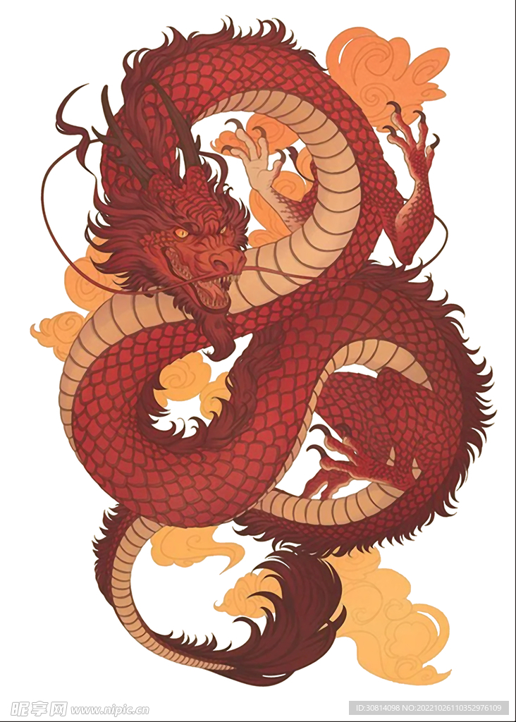 龙