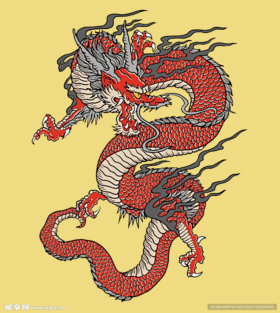 龙