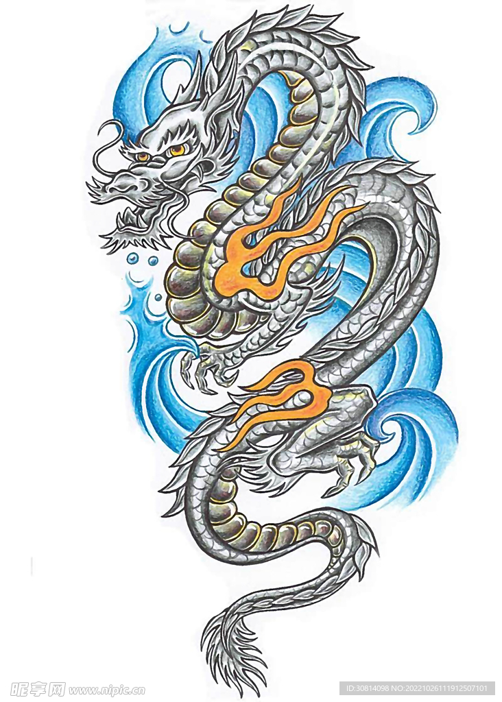 龙