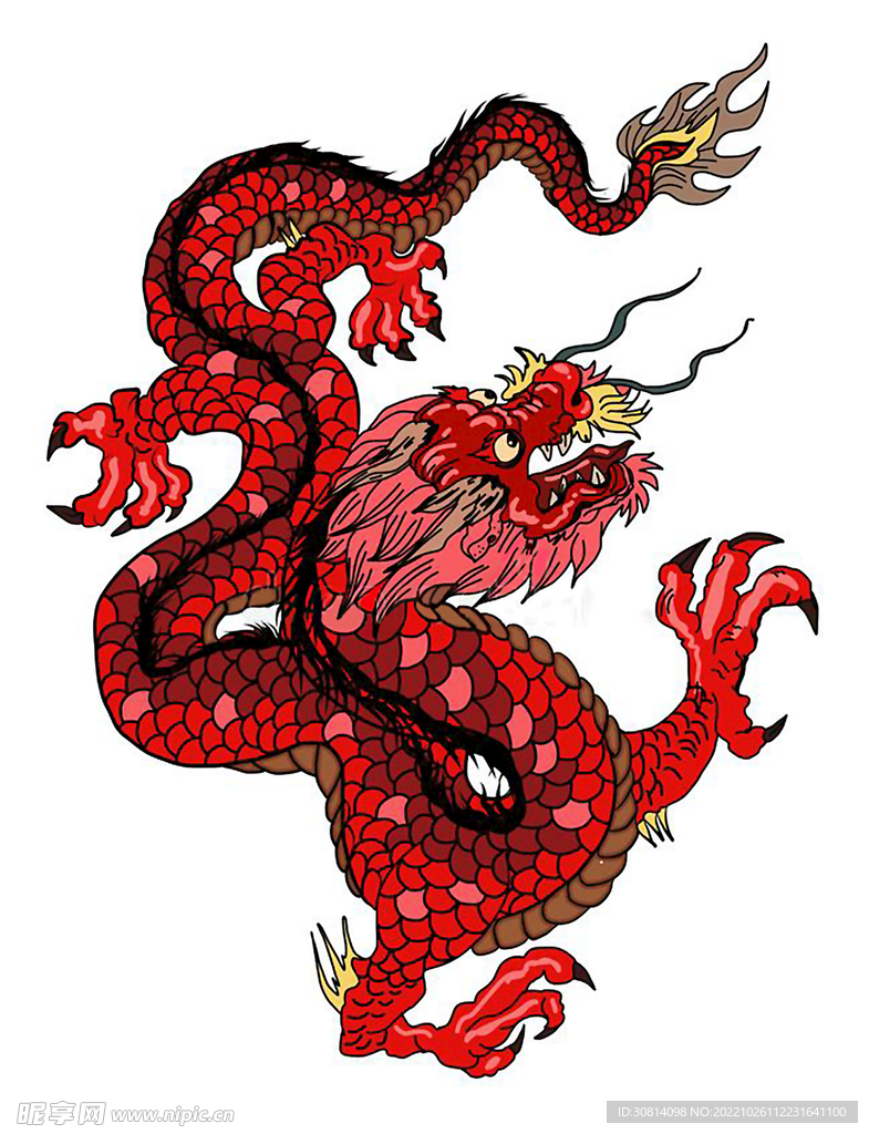 龙