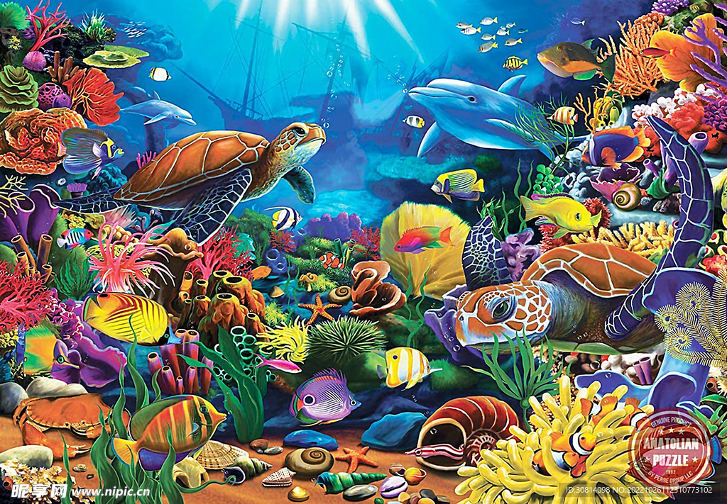 海洋鱼群