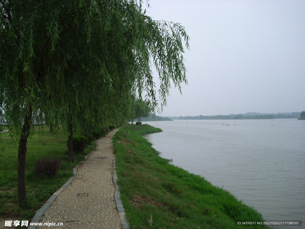 风景