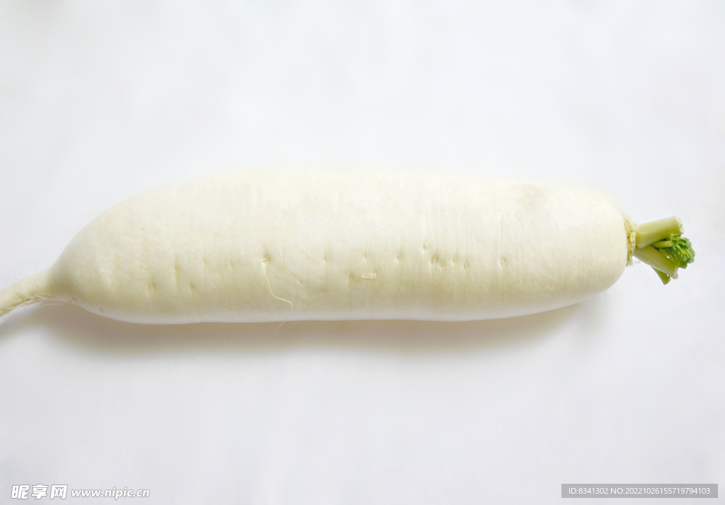 白萝卜