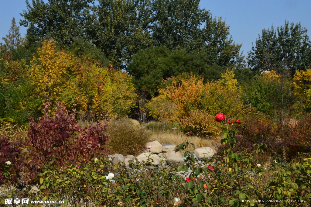 公园风景  