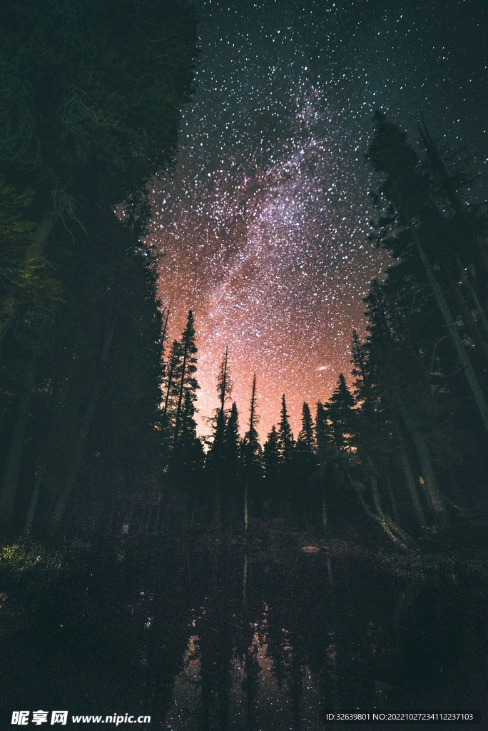 林间星空