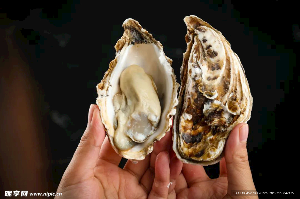 生蚝
