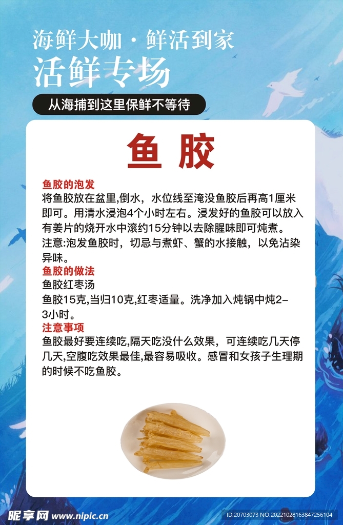 鱼胶