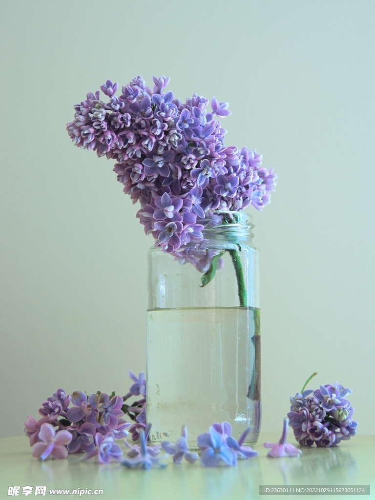 瓶插鲜花