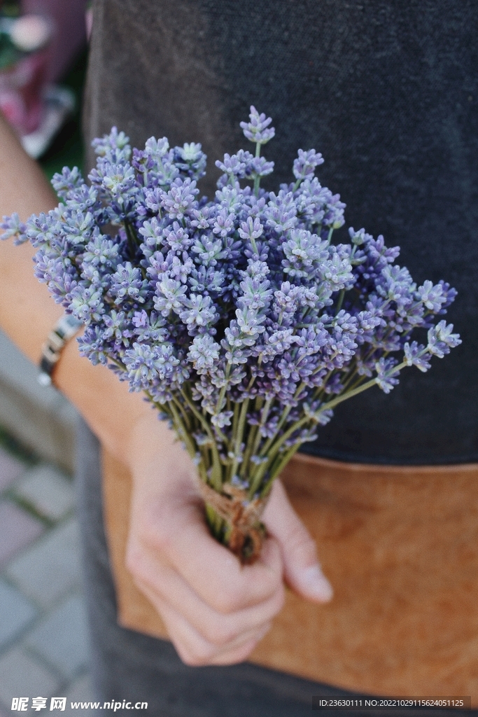 手拿鲜花