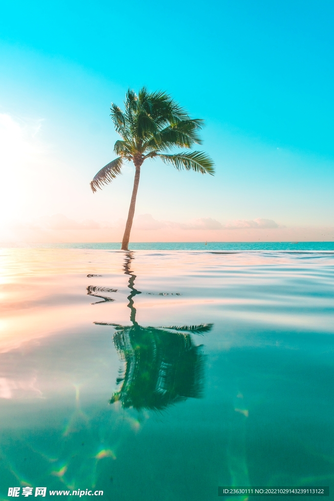 海水