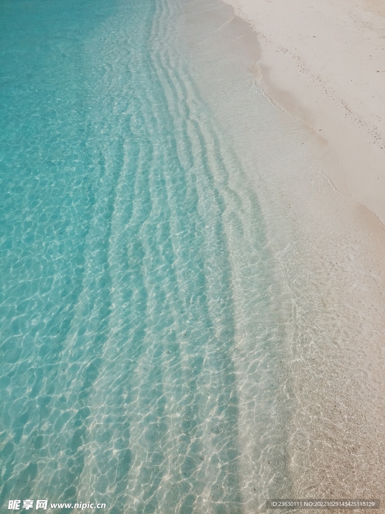 海水