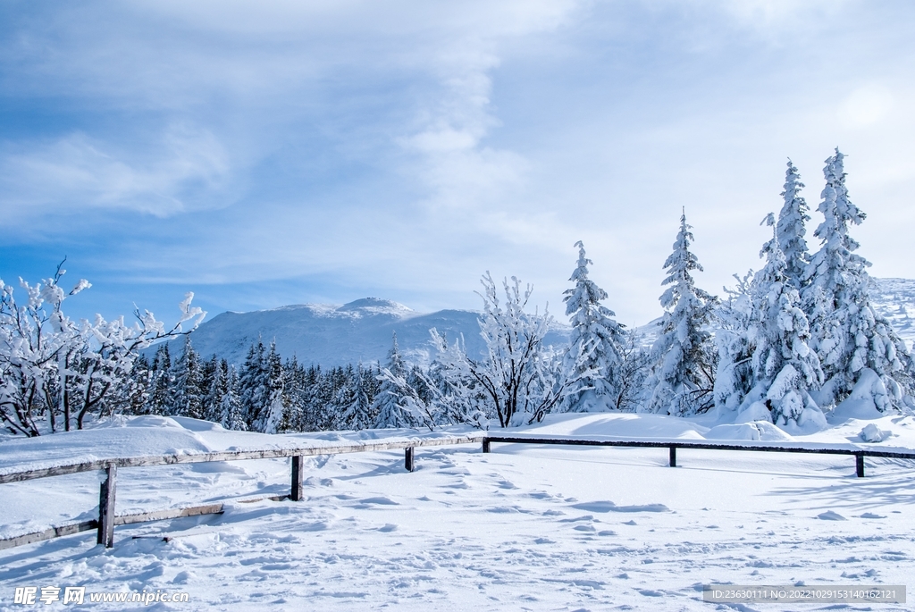 雪景
