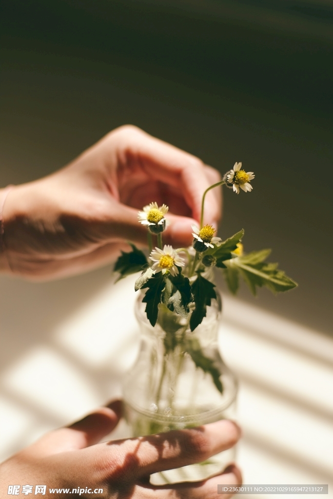 插花