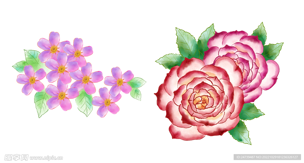 水彩花卉