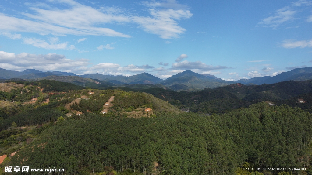 山