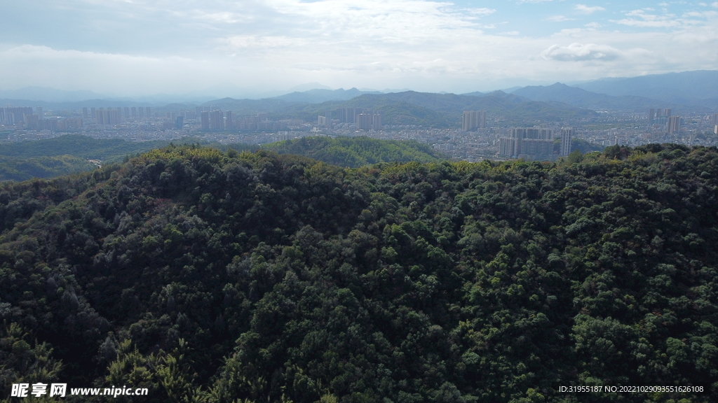 山