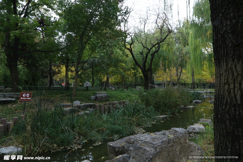 陶然亭风景 