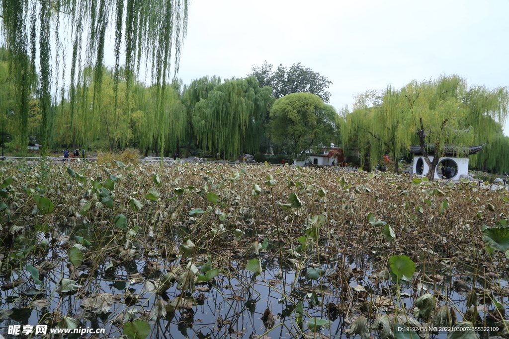 陶然亭风景