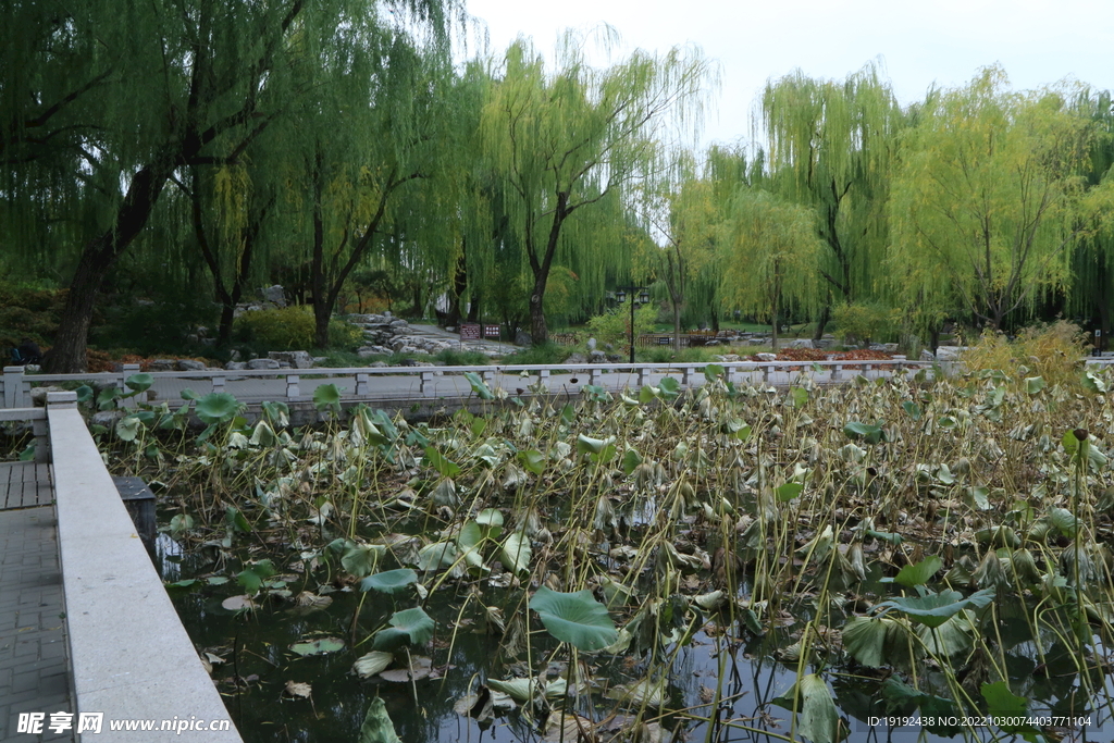 陶然亭风景 