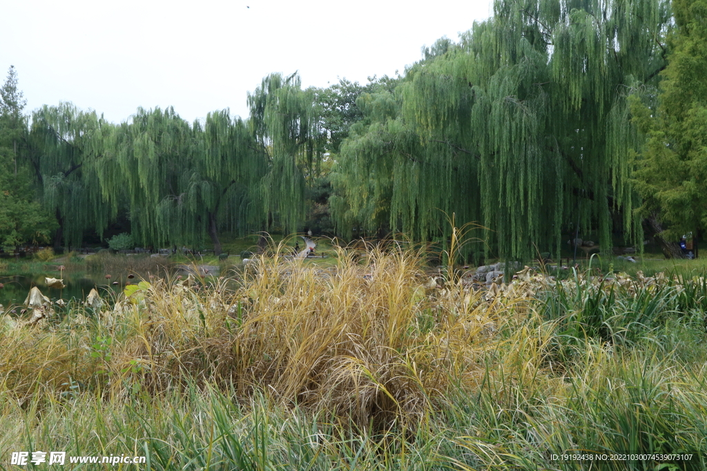 陶然亭风景