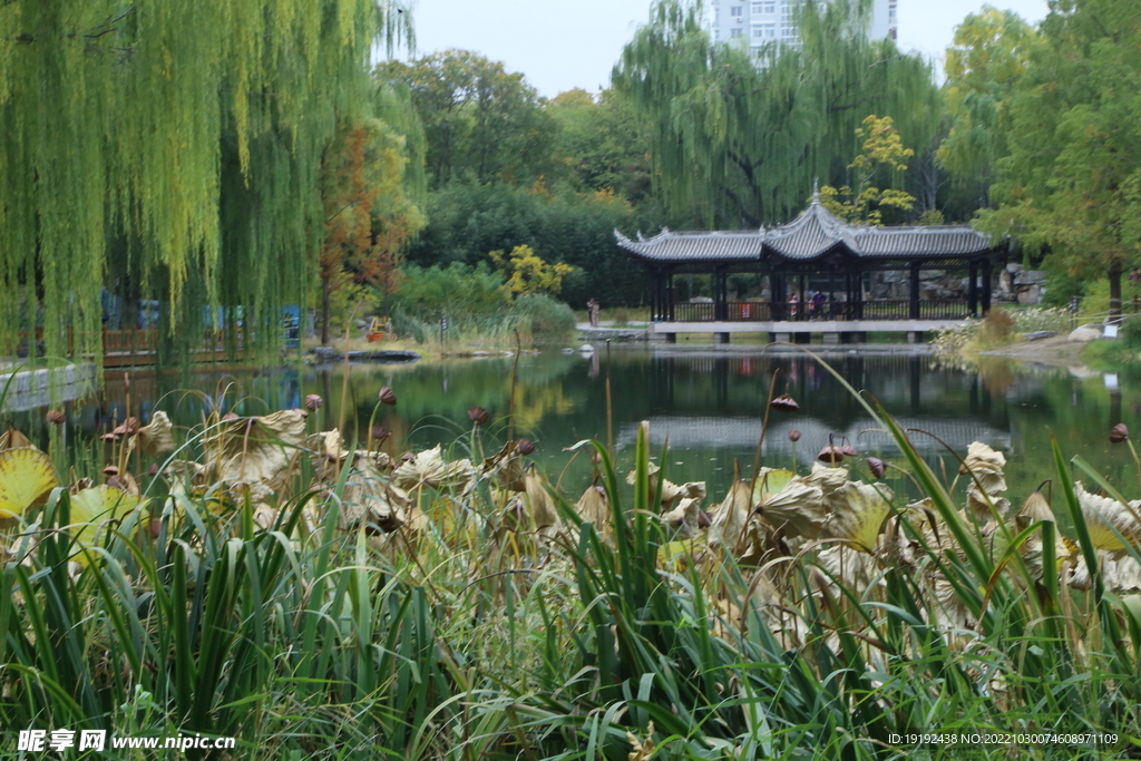 陶然亭风景  