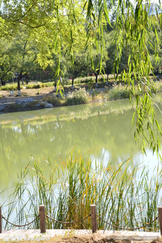 龙潭中湖风景