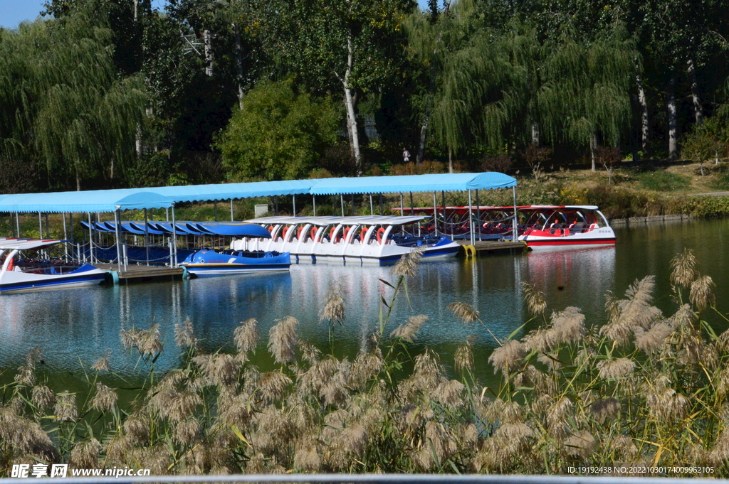 龙潭中湖风景 