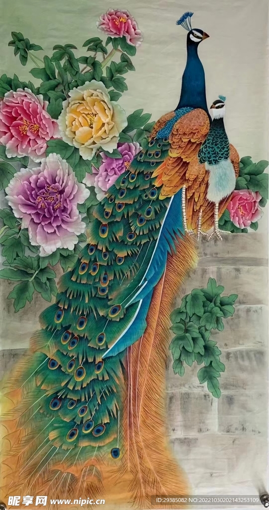 孔雀牡丹