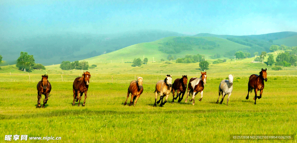 内蒙乌兰布统草原