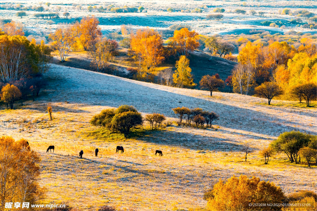 内蒙乌兰布统草原