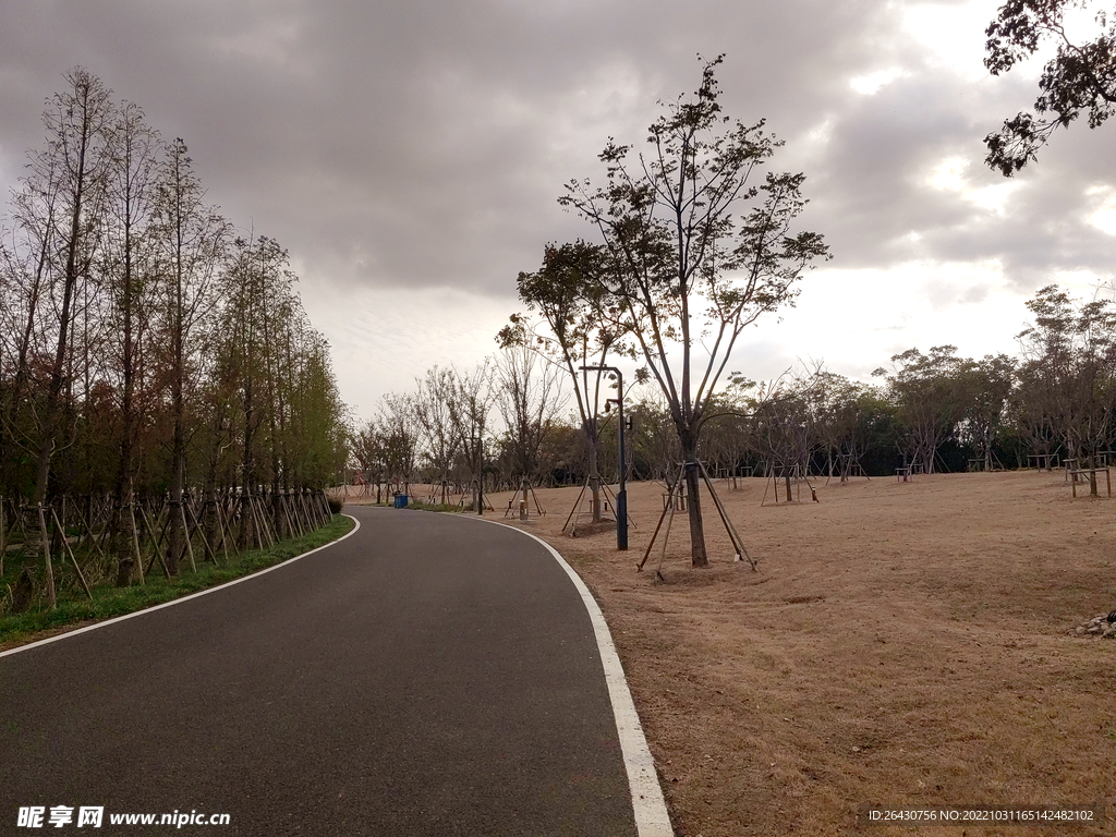 秋天的公路