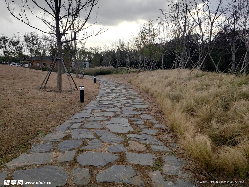 秋天石板路风景