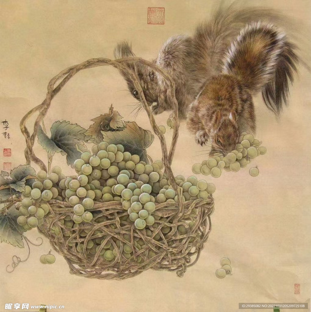 松鼠葡萄