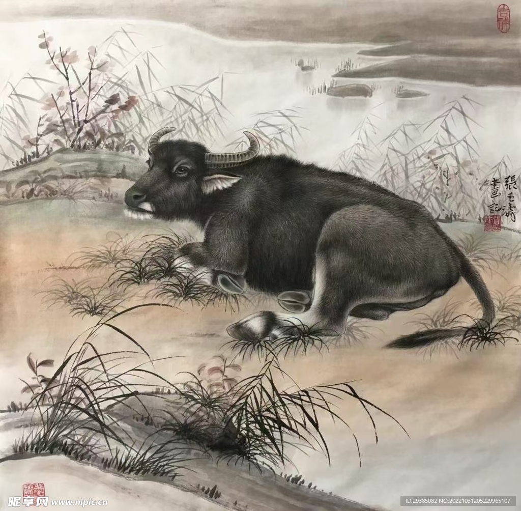 卧牛