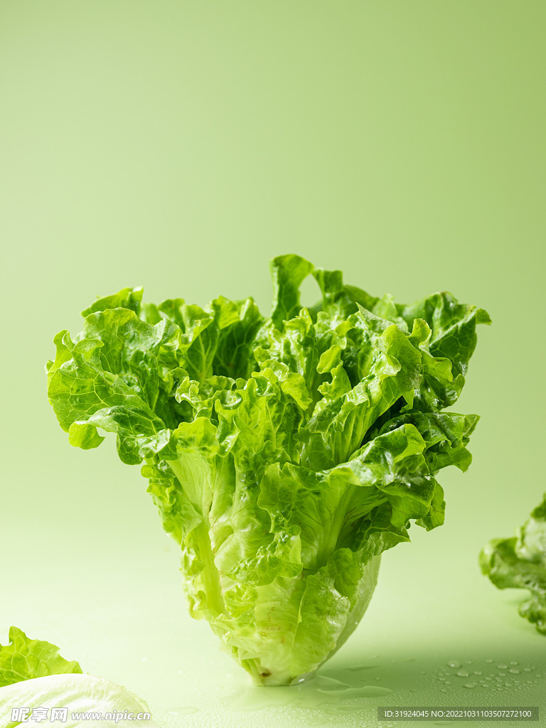 生菜