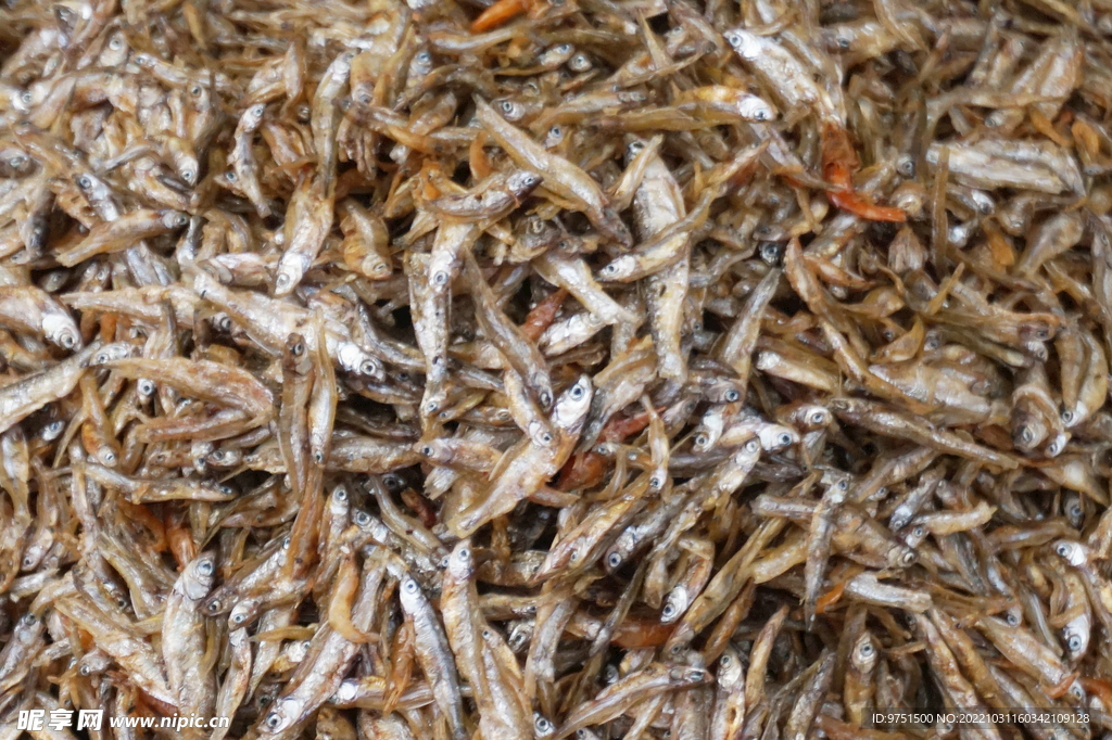 鱼干