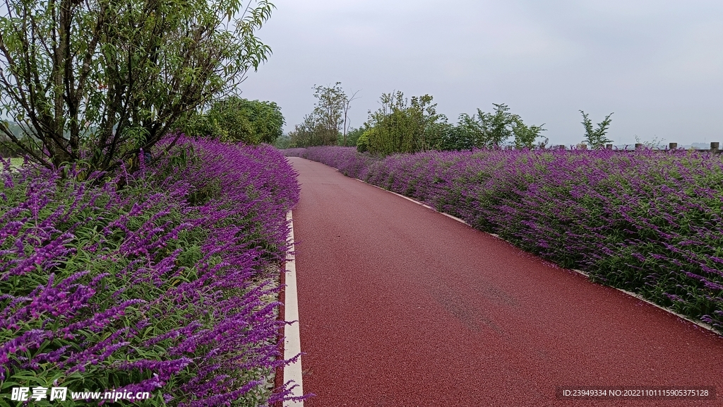 公路