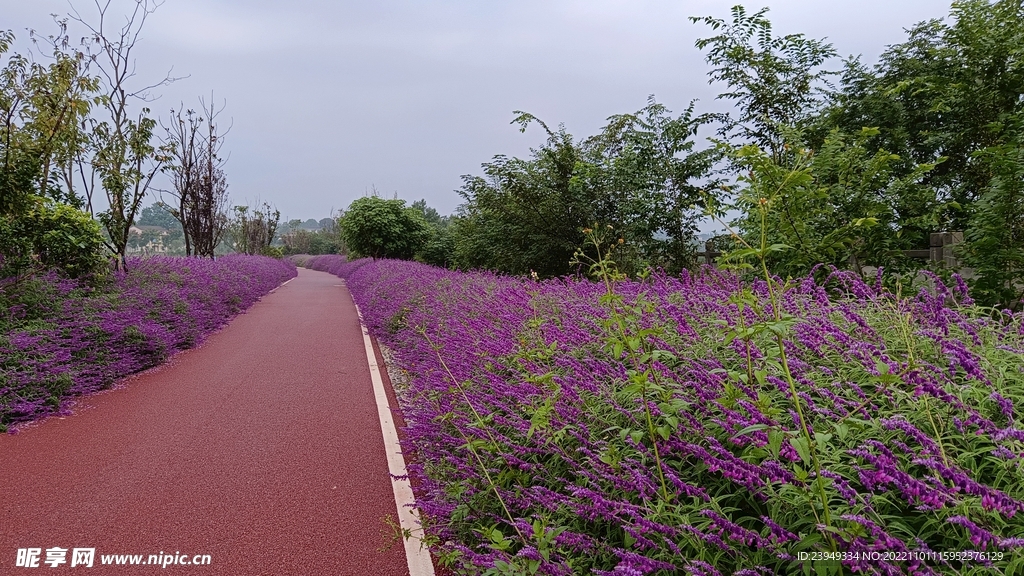 公路