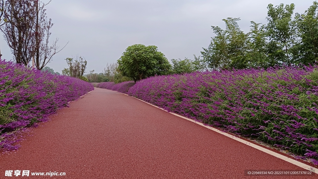 公路