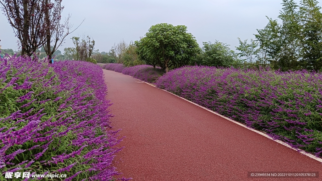 公路