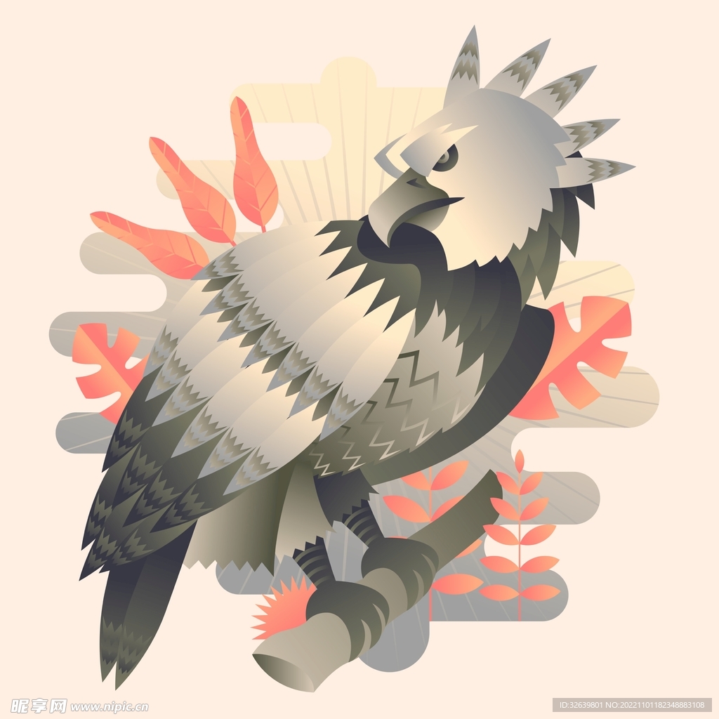 鹰插画