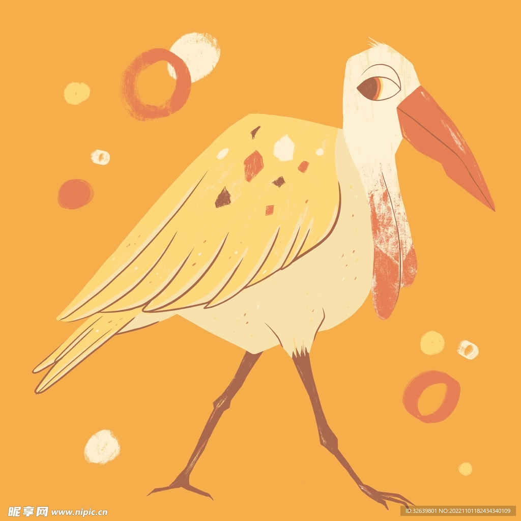 鸟类插画