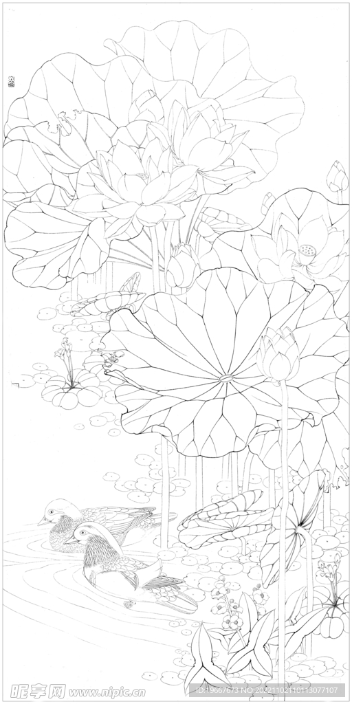 荷花线描
