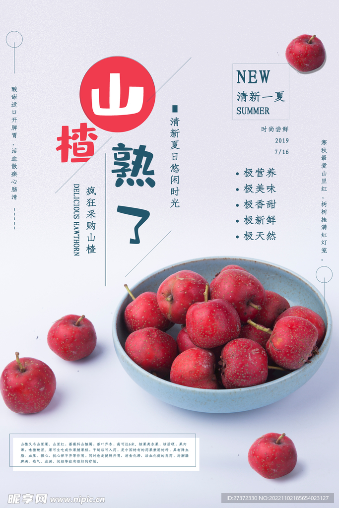山楂海报