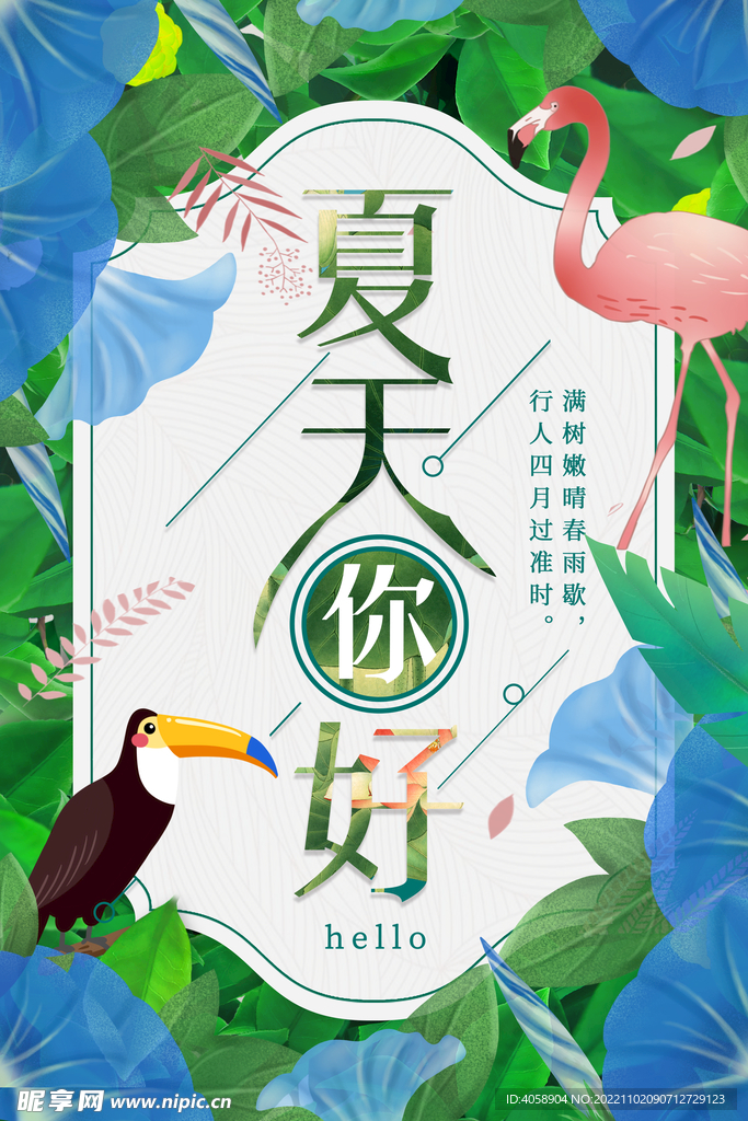 夏天你好