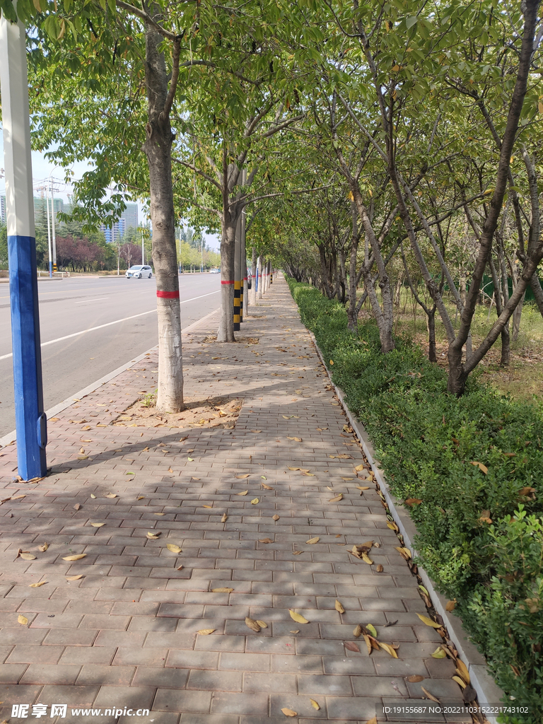 秋天的小路