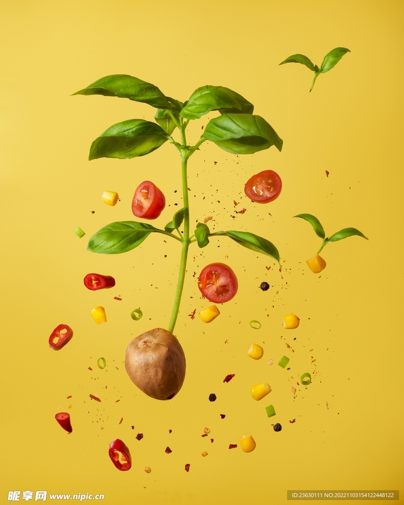 蔬菜沙拉
