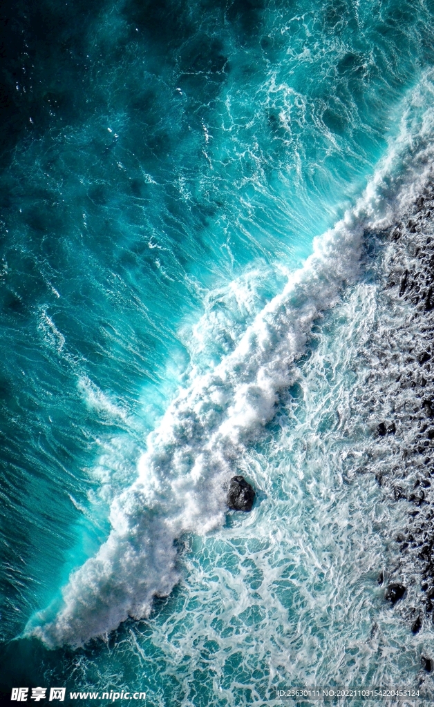 海