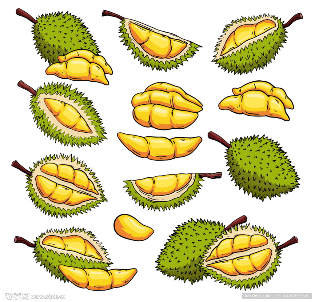 榴莲插画